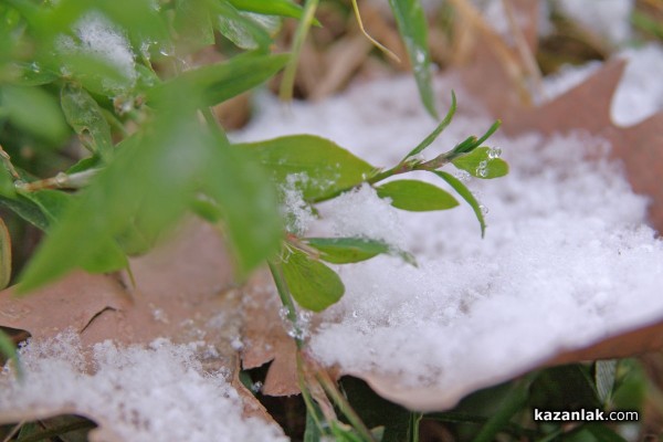 Казанлък се събуди заснежен и при минус 2,8 градуса
