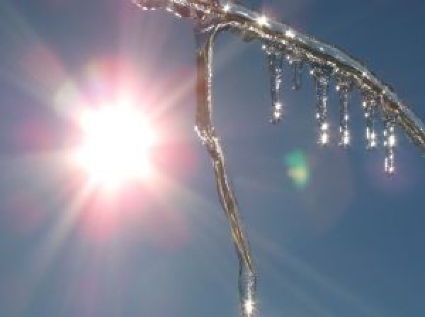 Два дни максималните температури в Казанлък са над 15 градуса / Новини от Казанлък