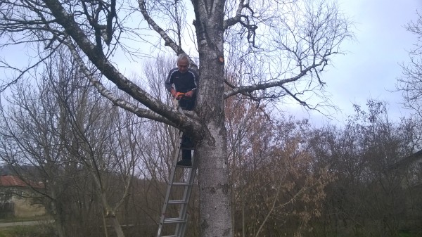 В Средногорово се готвят за 3 март 