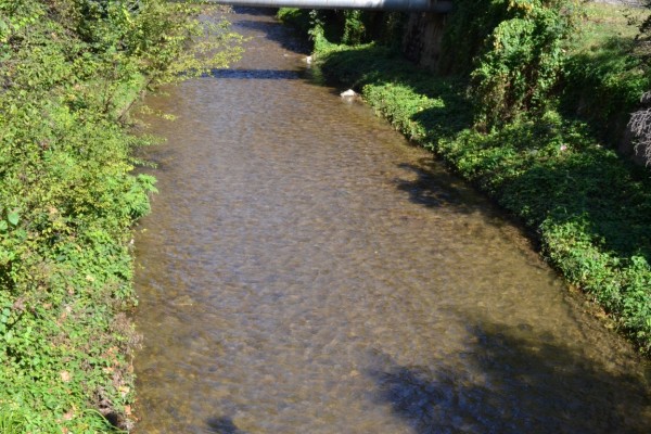 От днес започва почистване на Старата река в град Казанлък / Новини от Казанлък
