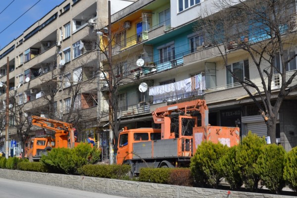 Ограничено е движението по бул. „Ал. Батенберг“ заради санитарна сеч