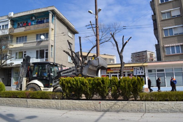 Ограничено е движението по бул. „Ал. Батенберг“ заради санитарна сеч