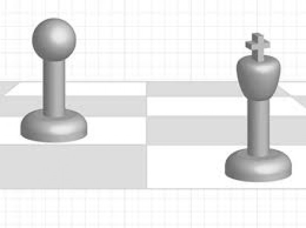 Родиха се шахматни близнаци / Новини от Казанлък