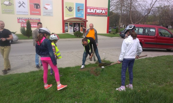 Млади дръвчета червен американски дъб засадиха деца и младежи в гр.Казанлък