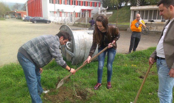 Млади дръвчета червен американски дъб засадиха деца и младежи в гр.Казанлък
