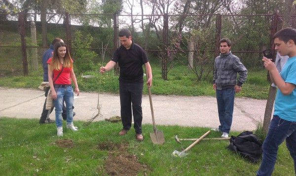 Млади дръвчета червен американски дъб засадиха деца и младежи в гр.Казанлък / Новини от Казанлък