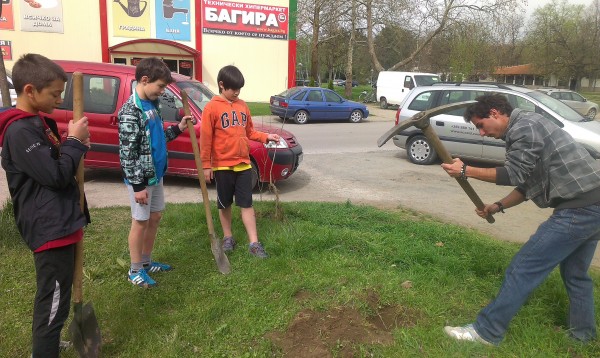 Млади дръвчета червен американски дъб засадиха деца и младежи в гр.Казанлък