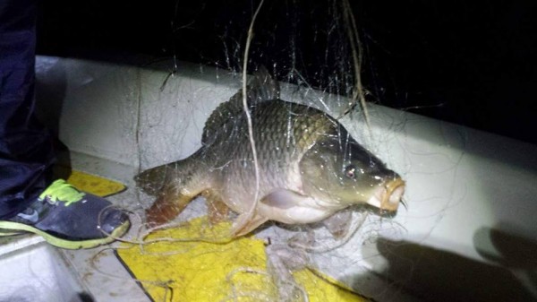 Извадиха и изгориха 3200 метра мрежи от водите на язовирите Копринка и Жребчево