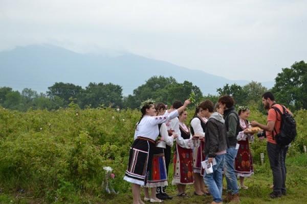 Първи ритуал на розобер във Фестивала на розата – 2016 в с.Ръжена