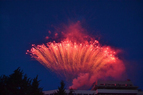 Кметът короняса Царица Роза 2016