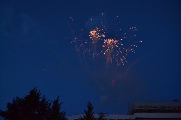 Кметът короняса Царица Роза 2016