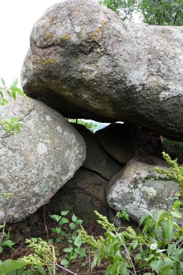 Започват разкопки на древните църква и крепост край село Бузовград