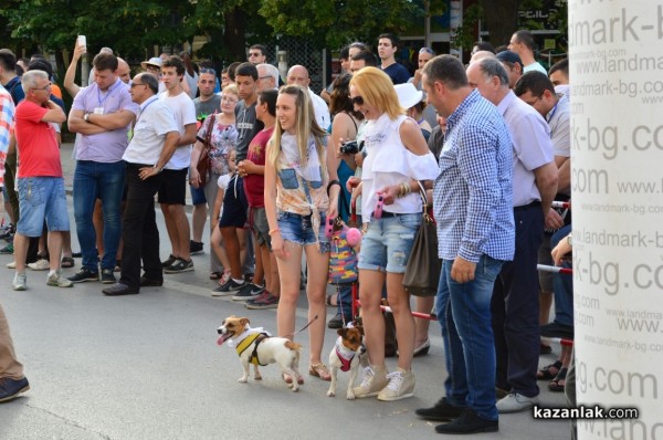 Рали Спринт Казанлък 2016