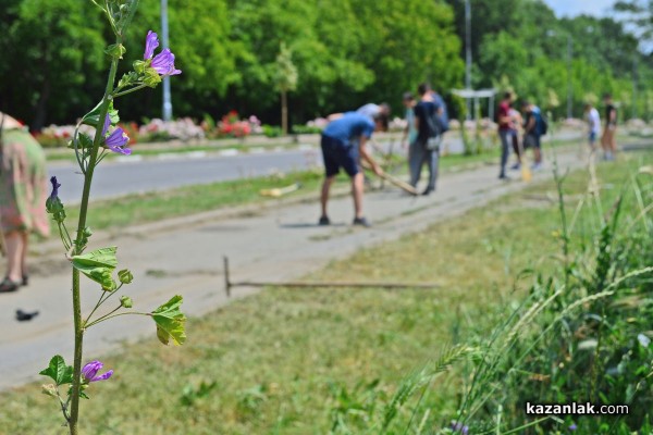 Представители на организации и ученици почистват велоалеята до Крън