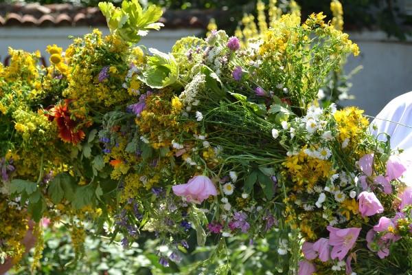 Аромат на билки в Етнографския комплекс на Еньовден