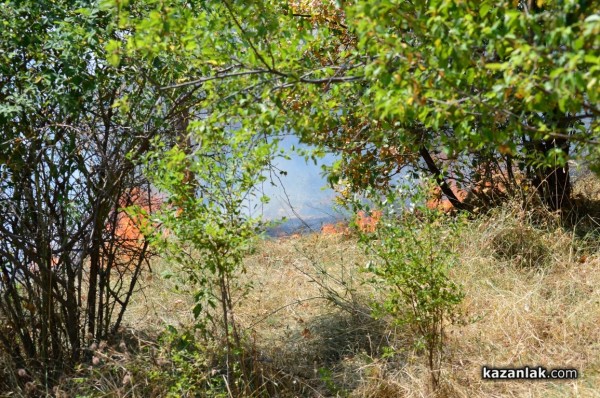 Пожарът до Казанлък е локализиран. Изгорели са няколко вилни постройки /Видео/