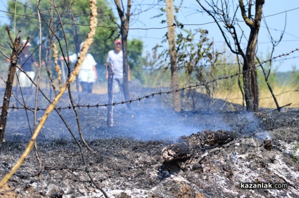 Пожарът до Казанлък е локализиран. Изгорели са няколко вилни постройки /Видео/