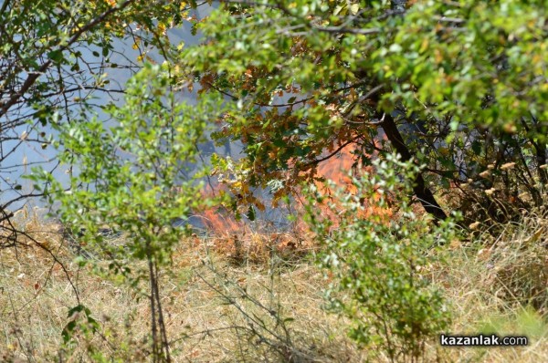 Пожарът до Казанлък е локализиран. Изгорели са няколко вилни постройки /Видео/