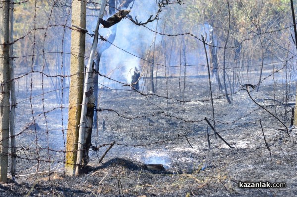 Пожарът до Казанлък е локализиран. Изгорели са няколко вилни постройки /Видео/