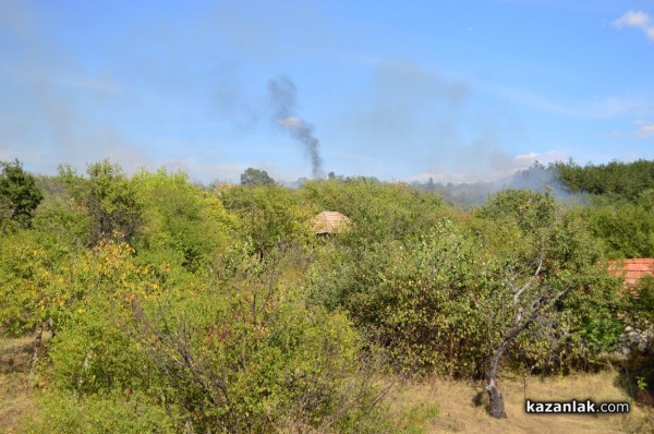 Изгоряха вили в лозята над Лукойл /видео и снимки/