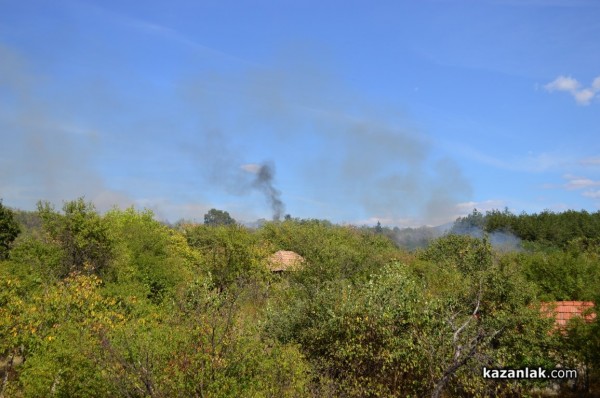 Изгоряха вили в лозята над Лукойл /видео и снимки/