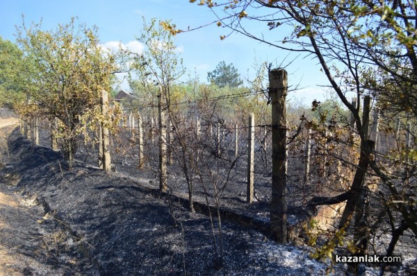 Изгоряха вили в лозята над Лукойл /видео и снимки/