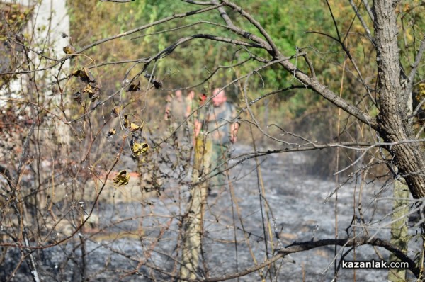 Изгоряха вили в лозята над Лукойл /видео и снимки/