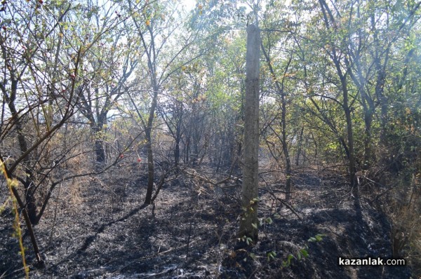 Изгоряха вили в лозята над Лукойл /видео и снимки/