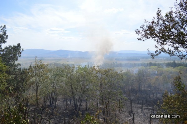 Изгоряха вили в лозята над Лукойл /видео и снимки/