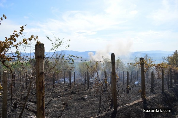 Изгоряха вили в лозята над Лукойл /видео и снимки/