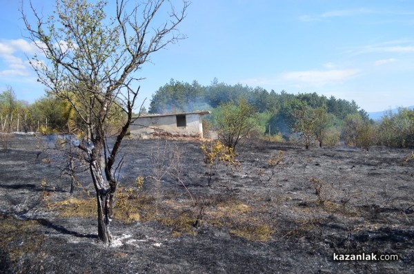 Изгоряха вили в лозята над Лукойл /видео и снимки/