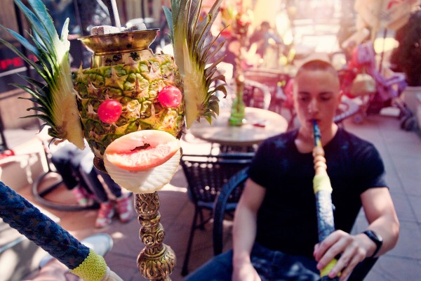 НАРГИЛЕ в ПЛОДОВЕ от днес в МЕРСИ!