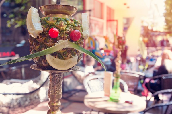 НАРГИЛЕ в ПЛОДОВЕ от днес в МЕРСИ!