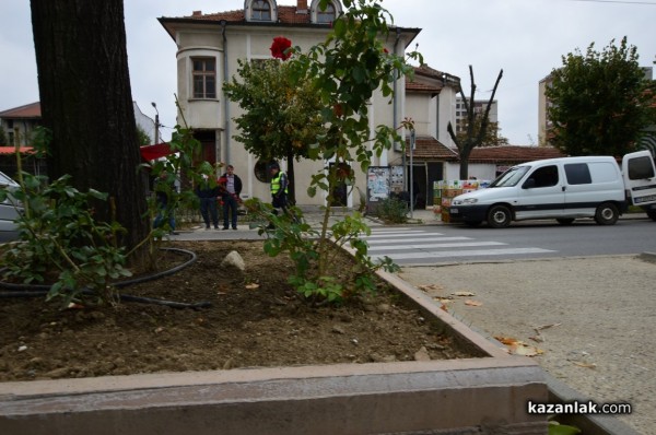 Блъснаха жена на пешеходна пътека /видео/