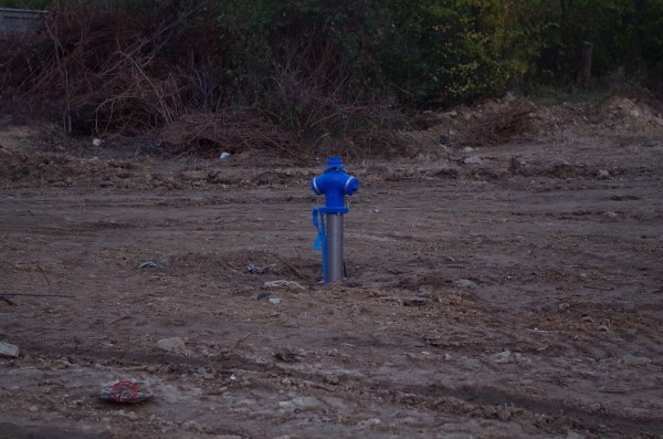 Казанлъчанката Марийка Генова към ГЕРБ: От 50 години никой не се бе сещал за улица “Люляк“