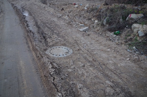 Казанлъчанката Марийка Генова към ГЕРБ: От 50 години никой не се бе сещал за улица “Люляк“