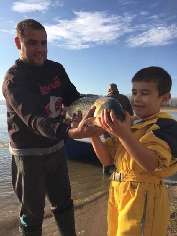 Зарибиха язовир „Копринка“ с над 300 броя бял амур