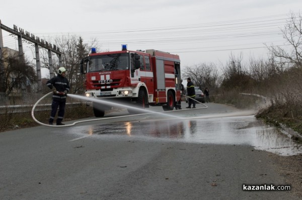 Дърво спаси живот, при катастрофа на обиколния път