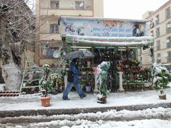 Казанлък ще се побратими с алжирския Град на розите Блида