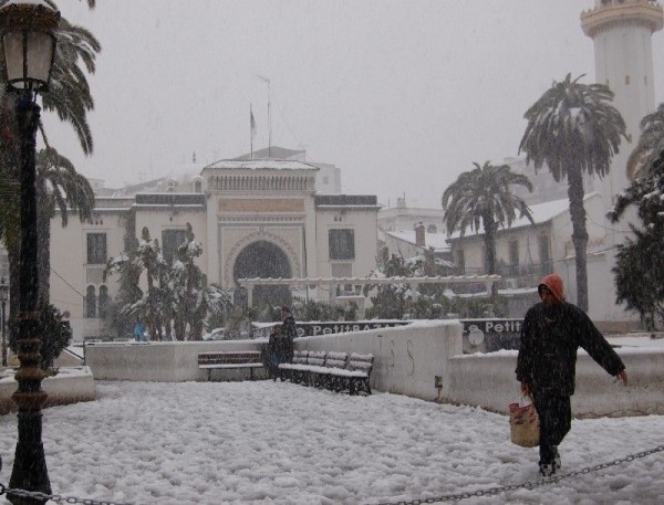 Казанлък ще се побратими с алжирския Град на розите Блида