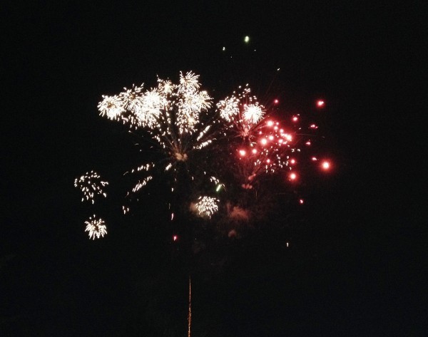 Елхата на Казанлък засия