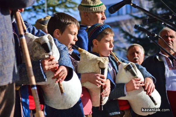 Коледари