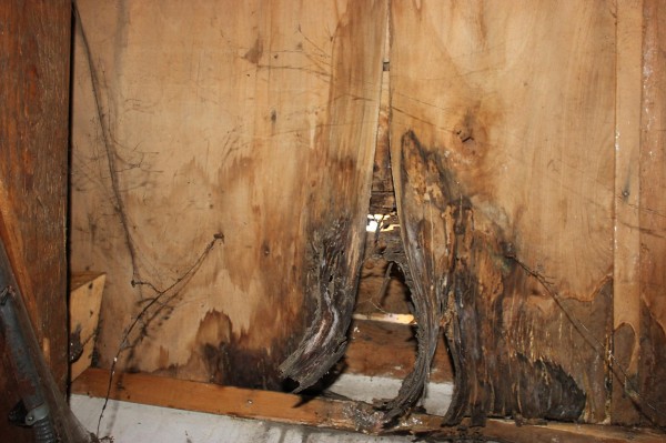 ОбС взе Клуба на фотолюбителя от НЧ “Искра“ и го предостави на Музея на Фотографията