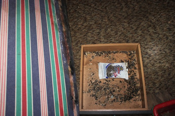 ОбС взе Клуба на фотолюбителя от НЧ “Искра“ и го предостави на Музея на Фотографията