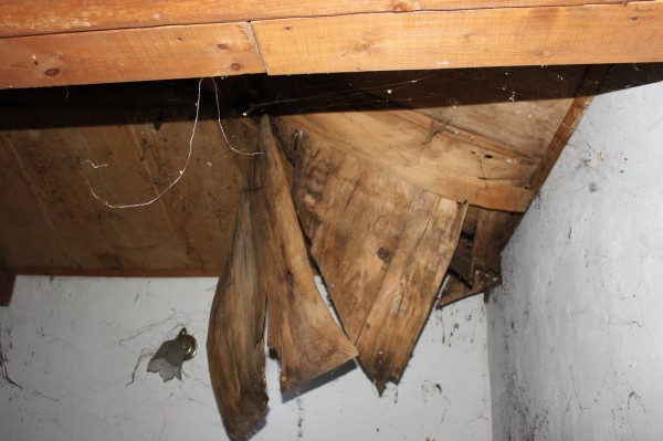 ОбС взе Клуба на фотолюбителя от НЧ “Искра“ и го предостави на Музея на Фотографията