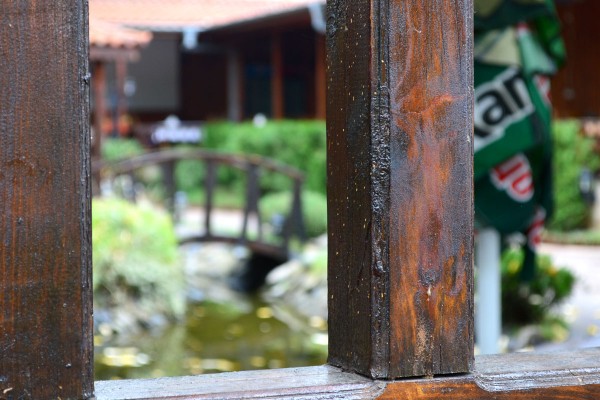 Ресторант ОРИЕНТ осигурява вечери с DJ на две дати за 8 март