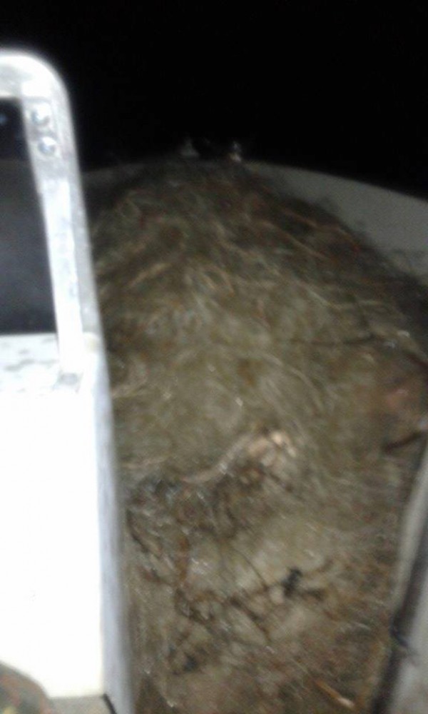 Централна Рибно - Опазваща Организация продължава да громи бракониери