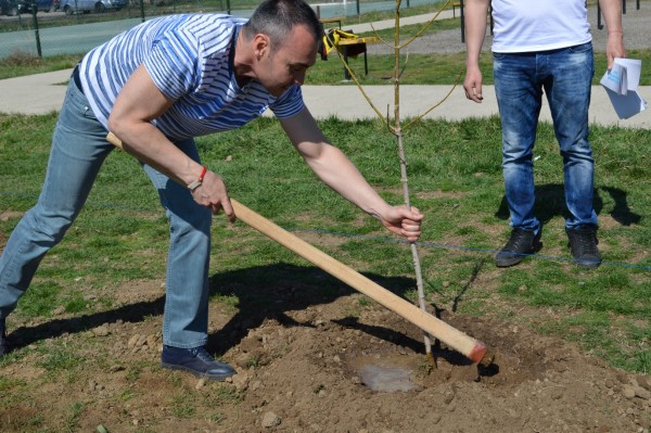 Борис Кърчев и спортистите на Казанлък посадиха Гора на спорта