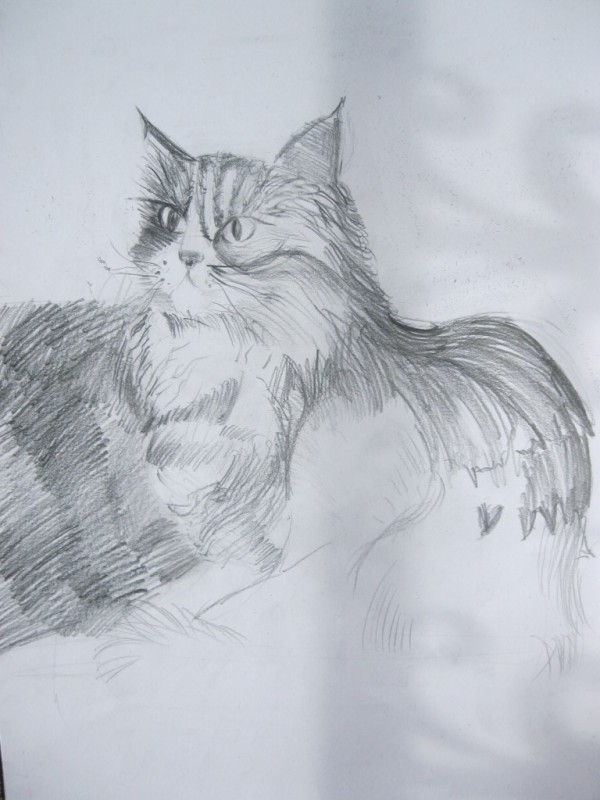 Школа “Арт линия“ представиха “Любими приказни герои“ в библиотеката