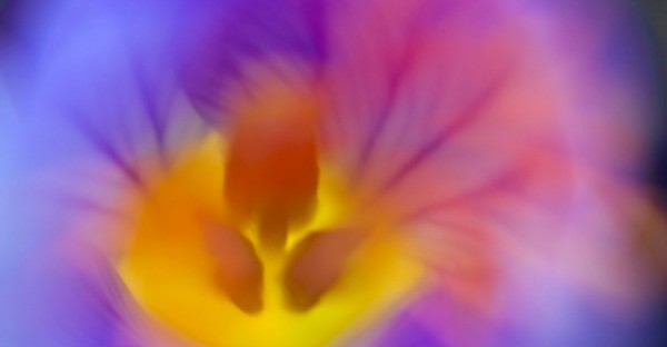 В 15:30 днес –  кадър в небето за сбогом с казанлъшкия фотограф Кольо Пейчев